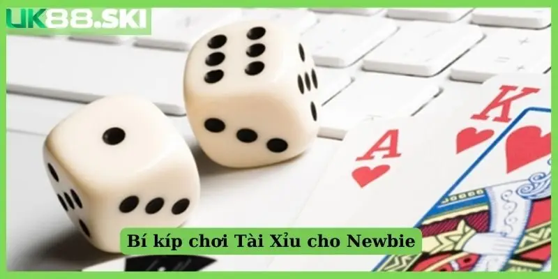 Bí kíp chơi Tài Xỉu cho Newbie