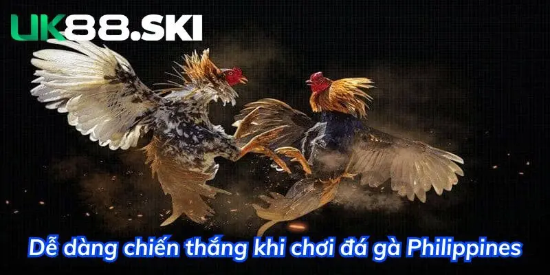 Dễ dàng cá cược đá gà và tạo ra nguồn thu nhập khủng