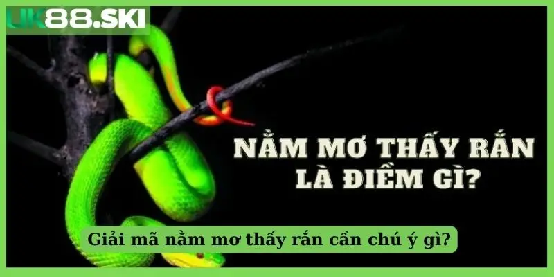 Giải mã nằm mơ thấy rắn cần chú ý gì?