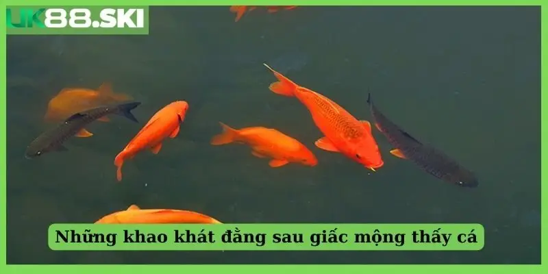 Những khao khát đằng sau giấc mộng thấy cá