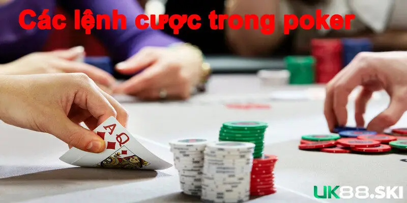 Chia sẻ kinh nghiệm chơi, cá cược dễ thắng lớn