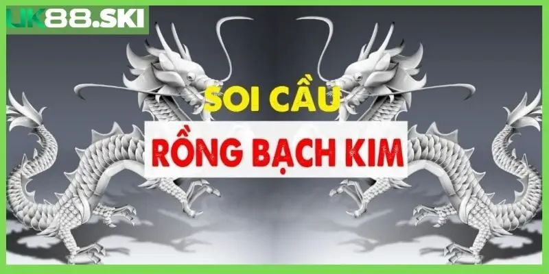 Bí quyết soi cầu Rồng Bạch Kim chuẩn chỉnh cho tân thủ!