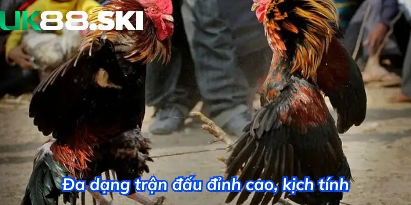 Tăng tính chuyên nghiệp khi theo dõi trận đấu