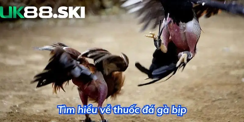 Tìm hiểu về thuốc đá gà gian lận